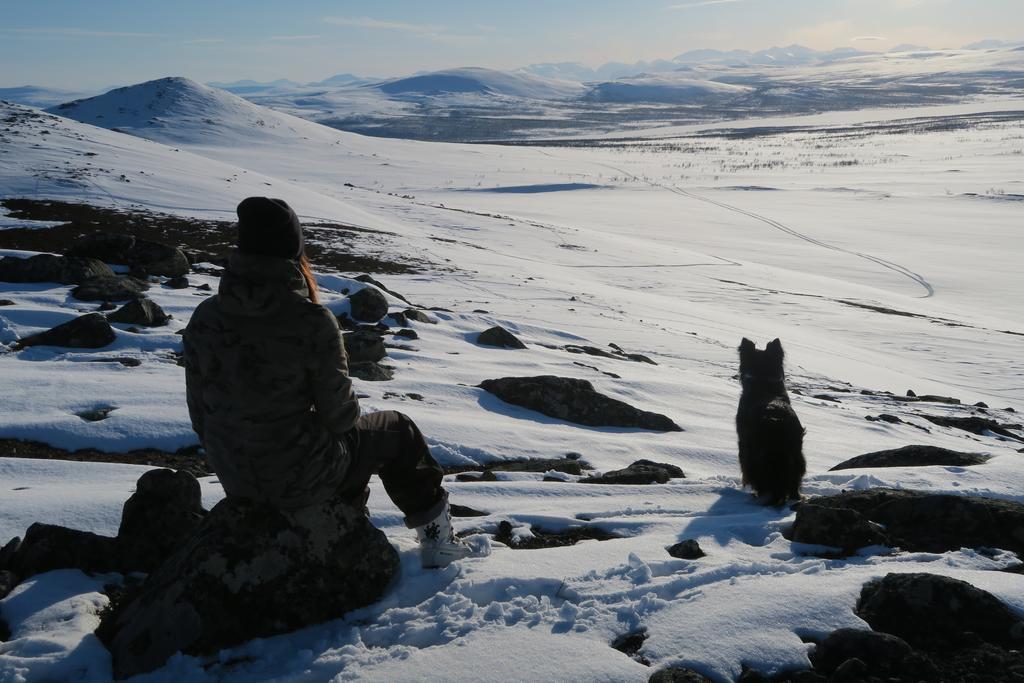 Mattarahkka Northern Light Lodge คิรูนา ภายนอก รูปภาพ