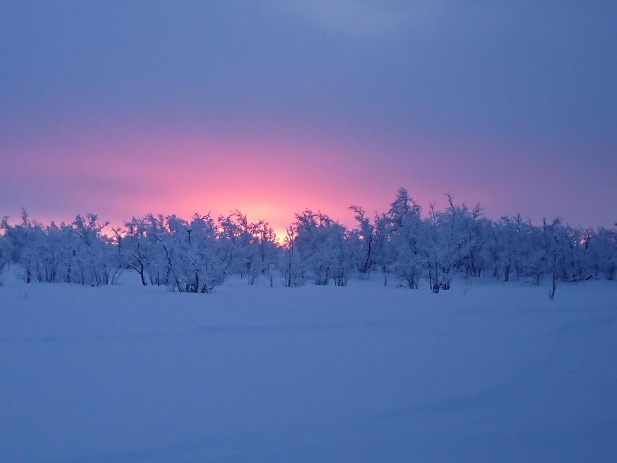 Mattarahkka Northern Light Lodge คิรูนา ภายนอก รูปภาพ
